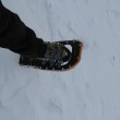Schneeschuhwandern im Hohen Venn