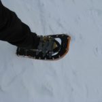 Marktübersicht: Schneeschuhe Marktübersicht: Schneeschuhe
