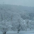 Neues aus der Outdoor-Blogosphäre im Januar Die Feiertage und meine Blogpause sind vorüber. In der Outdoor-Blogosphäre hat sich in der Zwischenzeit so einiges getan, was ich euch natürlich nicht vorenthalten möchte. Hier eine kleine Zusammenfassung meiner...