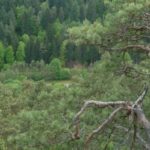 Der Outdoor Blog ist bald zurück! Der Outdoor Blog ist bald zurück!