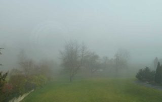 Das Jahr 2011 liegt noch im Nebel
