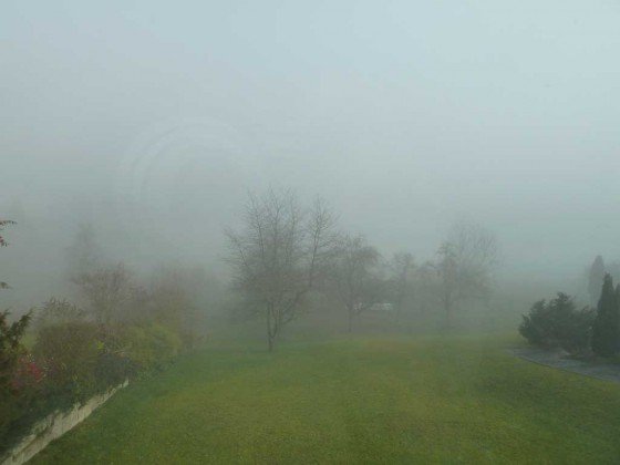 Das Jahr 2011 liegt noch im Nebel