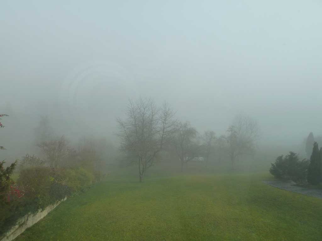 Das Jahr 2011 liegt noch im Nebel