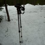 Leki Corklite Speed Lock