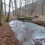 Bachlauf