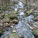 Quelle des Wasserfalls bei Bad Urach