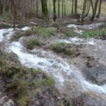 Ein wilder Bachlauf