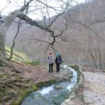 Zwei Schneehasen am Wasserfall