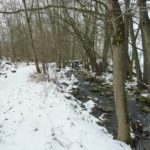 Bach neben dem Trail