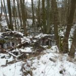 Bachverlauf