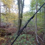 Exped Hammock Suspension handling