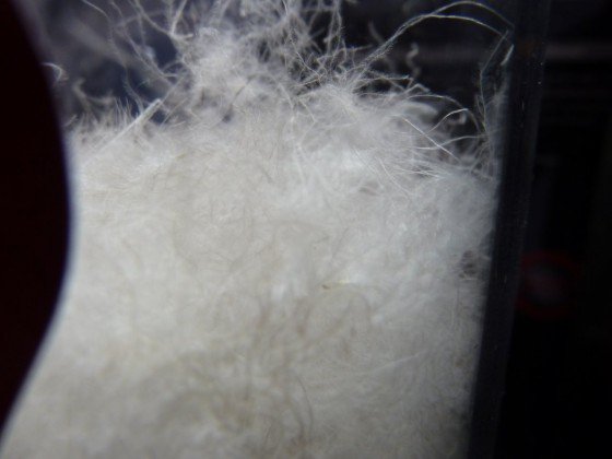 PrimaLoft Gold Down Blend