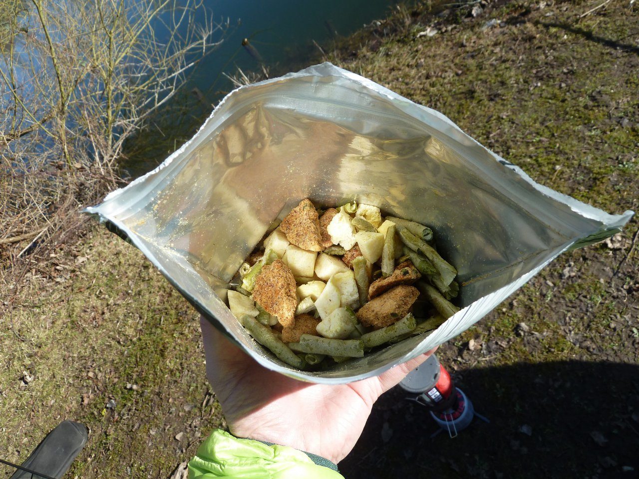Schweinelenden in grüner Pfeffersoße