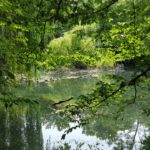 Weiher