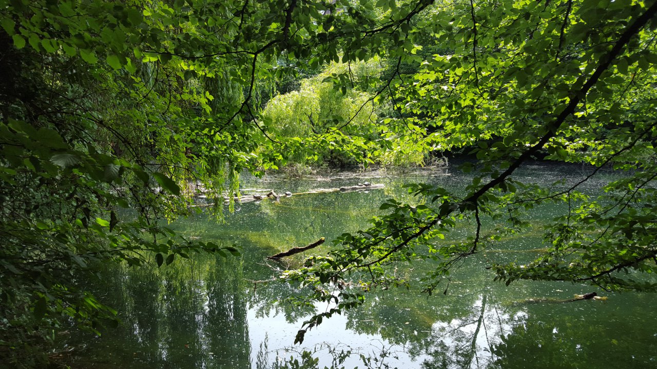 Weiher