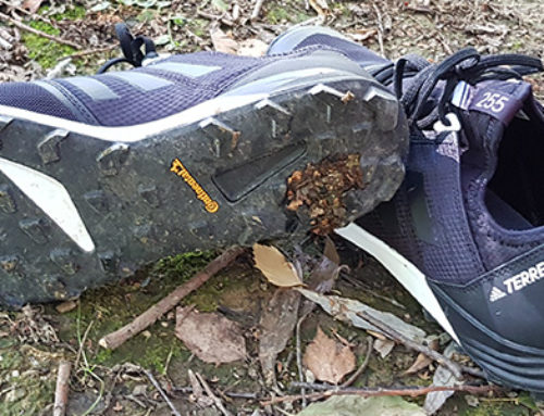 ADIDAS Terrex Agravic Speed