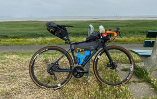 Triban RC520 Disc